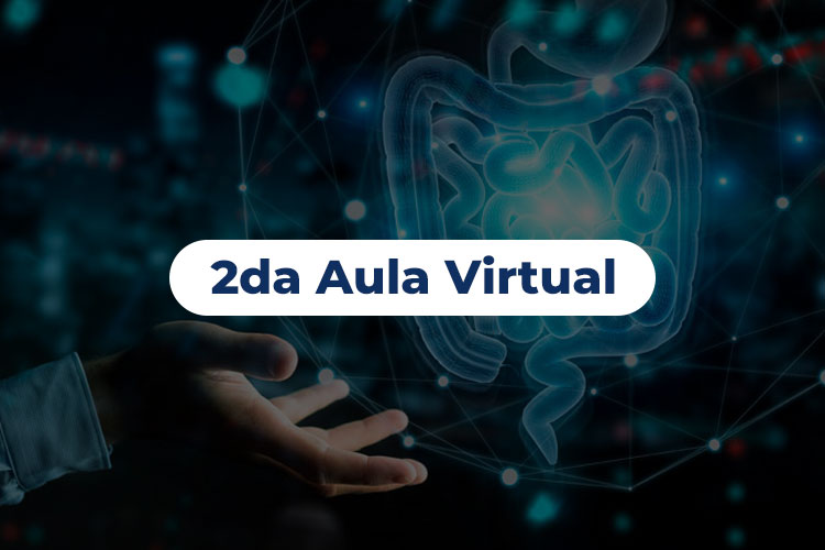 2da-Aula-Virtual