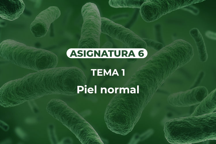 ASIG6-TEMA1