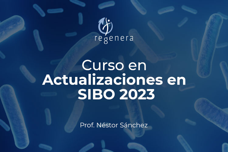 Actualizaciones-SIBO-2023