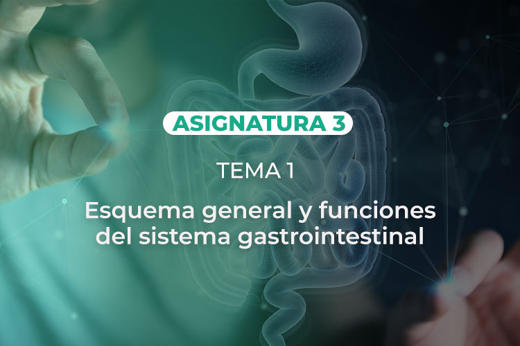 Asig3-Tema1