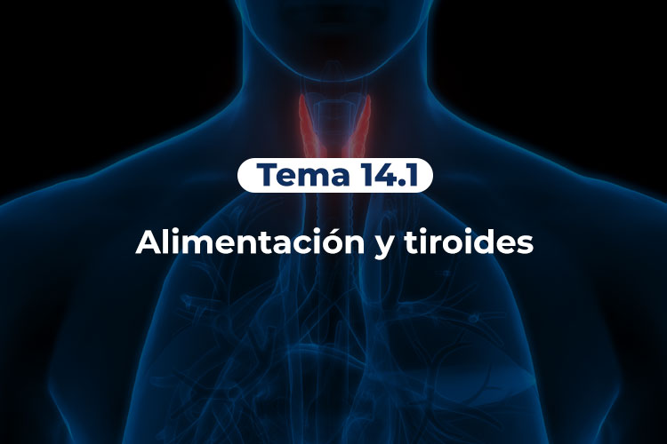 Tiroides-Tema-14-1
