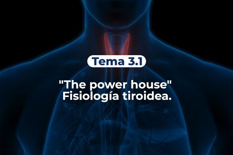 Tiroides-Tema-3-1-