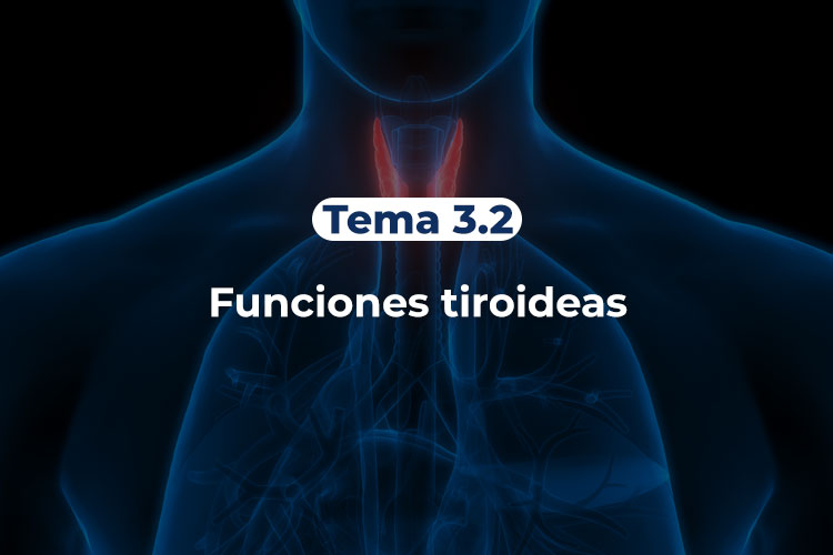 Tiroides-Tema-3-2-