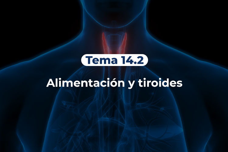 Tiroides-Tema-14-2